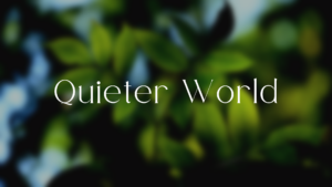 Lessons From a<br>Quieter World